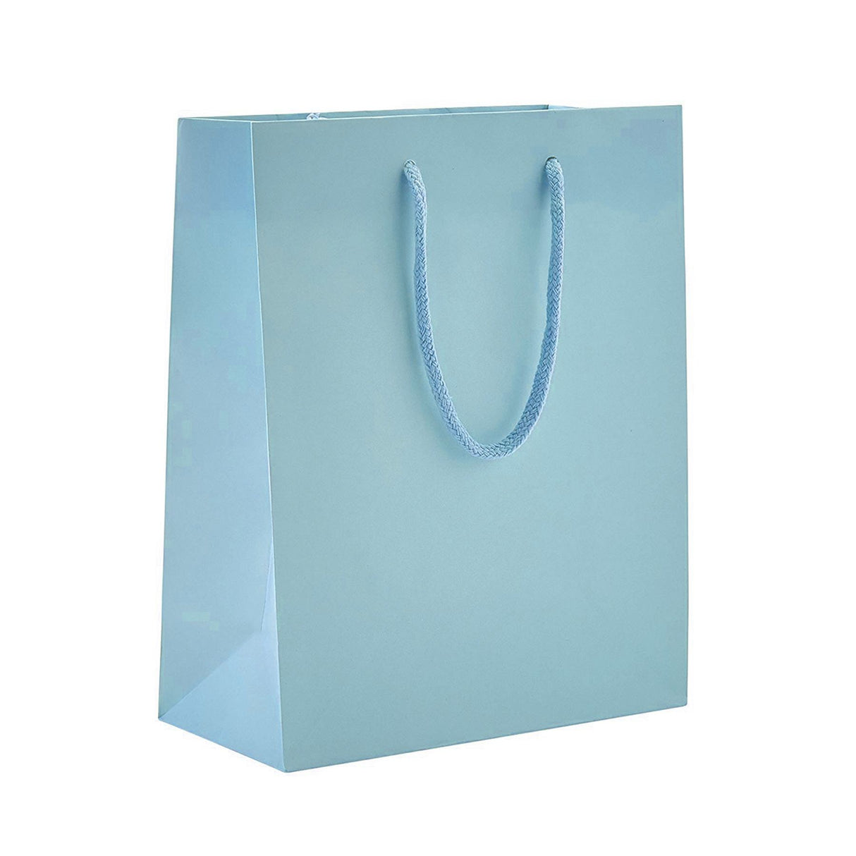 Matte Powder Blue - Matte Euro Tote - 8 x 4 x 10"