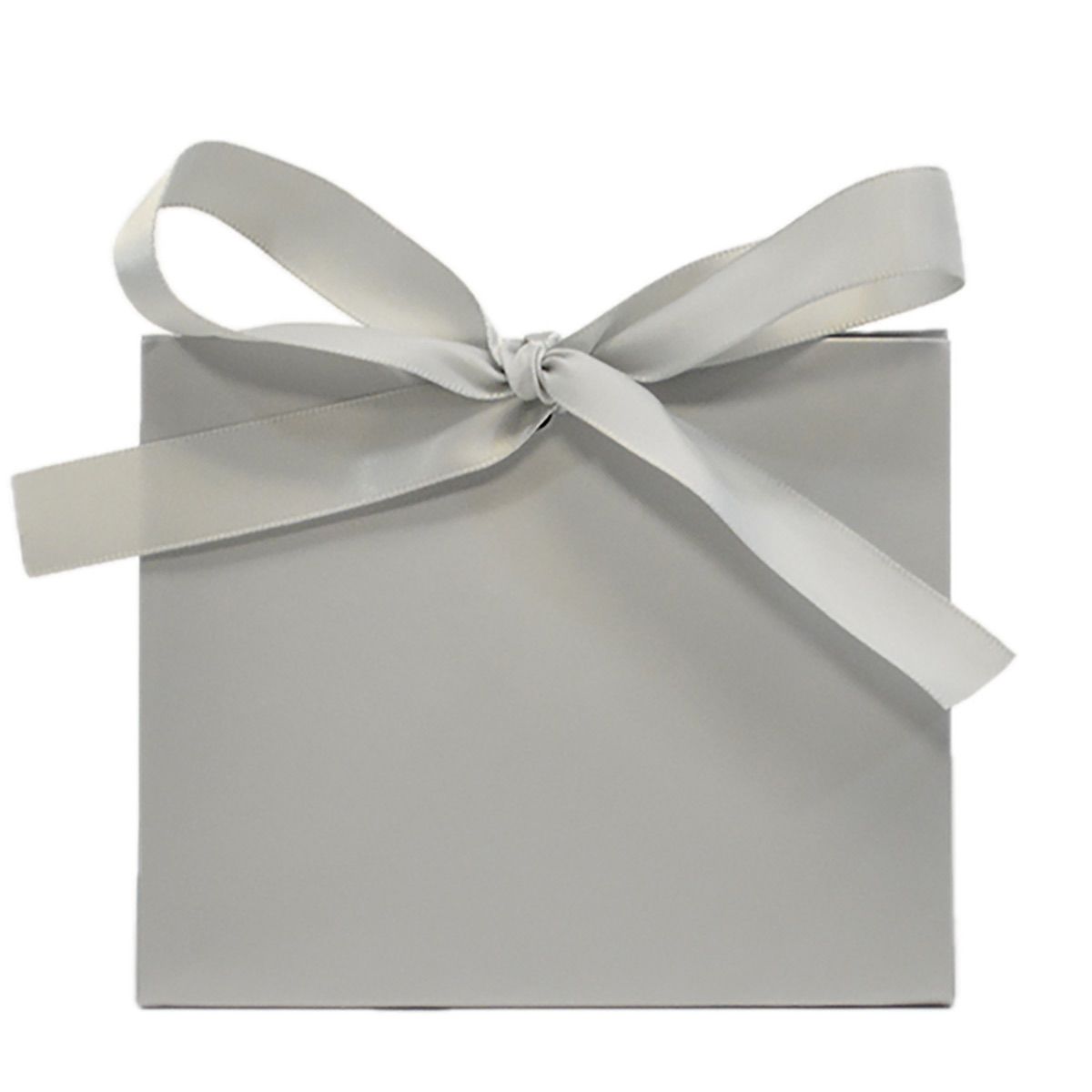 Chrome - Purse Box - 4.5 x 2 x 3.75"