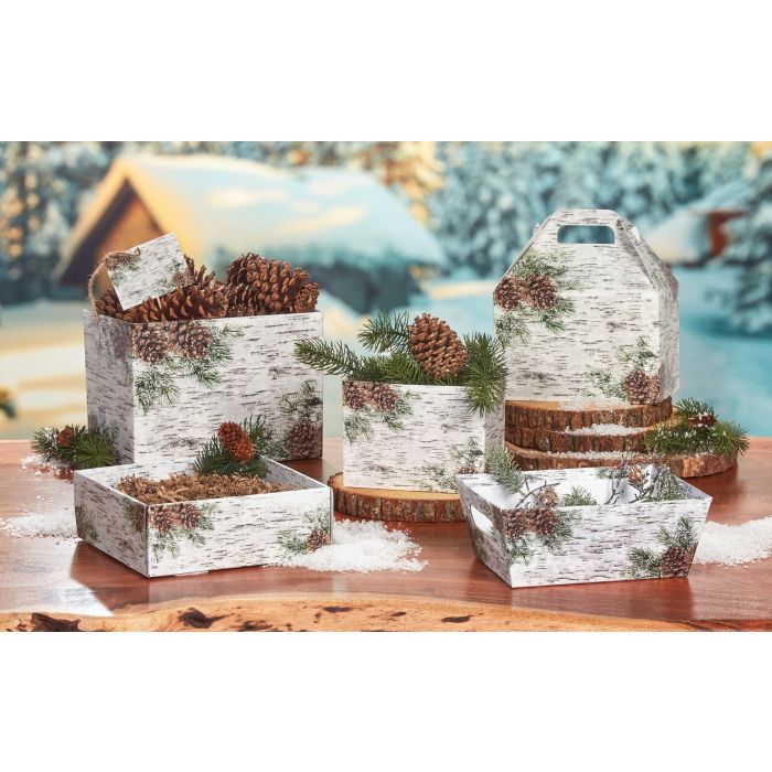White Birch Christmas Gift Box Collection