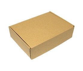 Kraft - Decorative Mailer - 12 x 9 x 3"