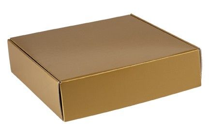 Gold Metallic - Decorative Mailer - 12 x 12 x 3"
