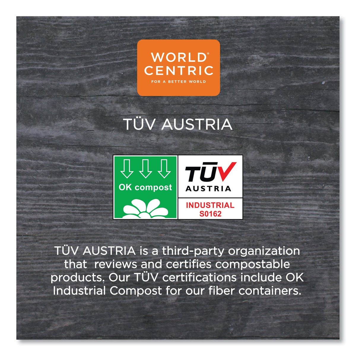 World Centric Fiber Trays, PLA Lined, PFAS Free, 1-Compartment, 8.2 x 5.7 x 0.7, Natural, Paper, 500/Carton