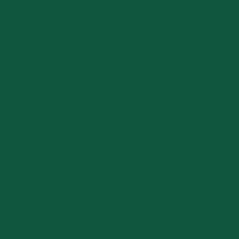Evergreen PMS 343U