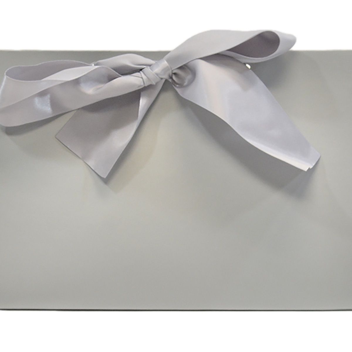 Chrome - Purse Box - 8 x 3.5 x 5.5"