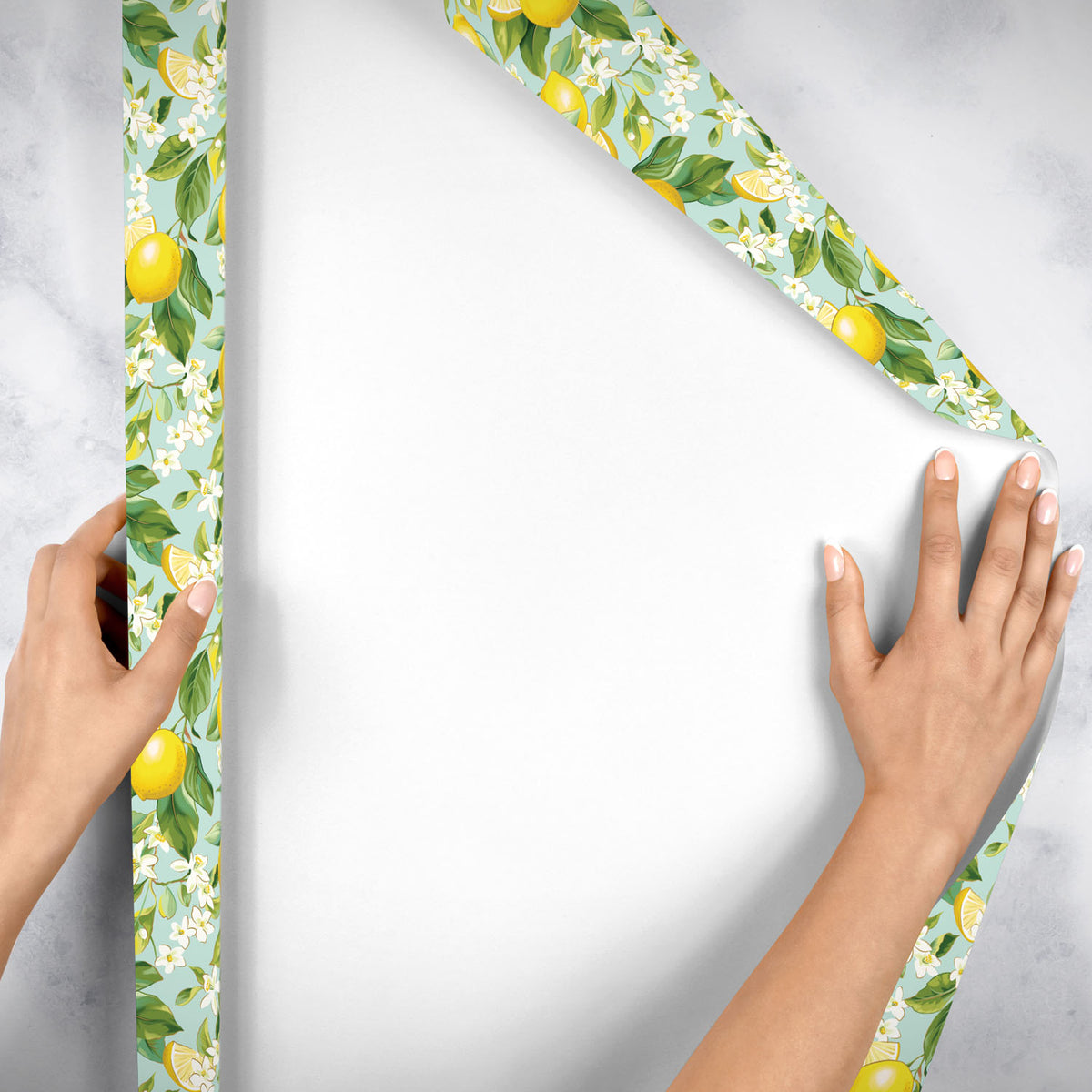 Lemon Tree Gift Wrap - B467.1e.jpg