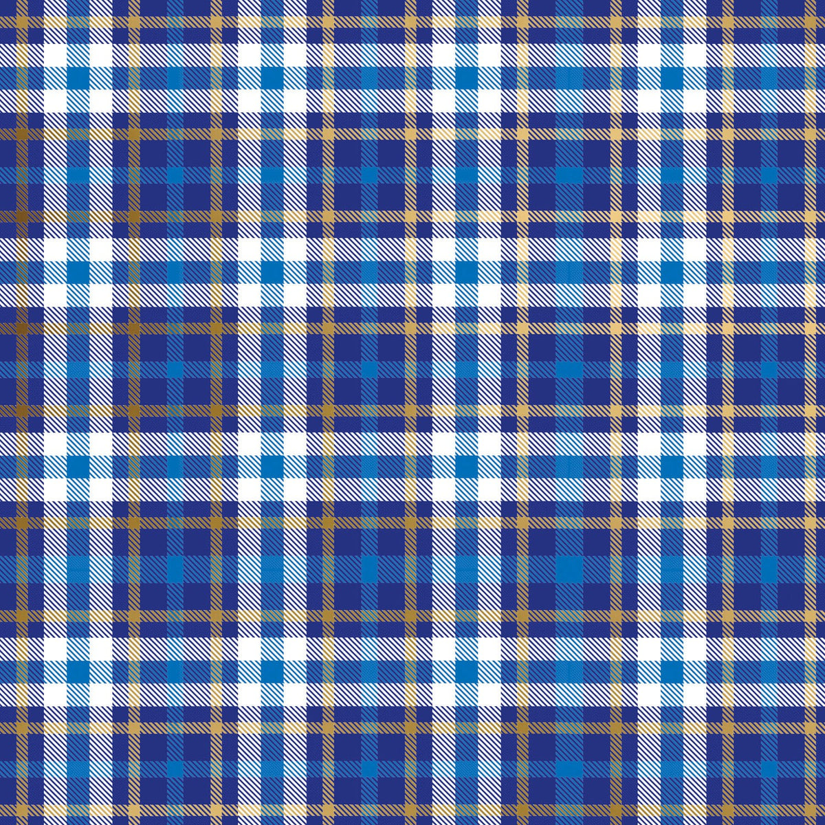 Blue Plaid Gift Wrap - B484.1a.jpg