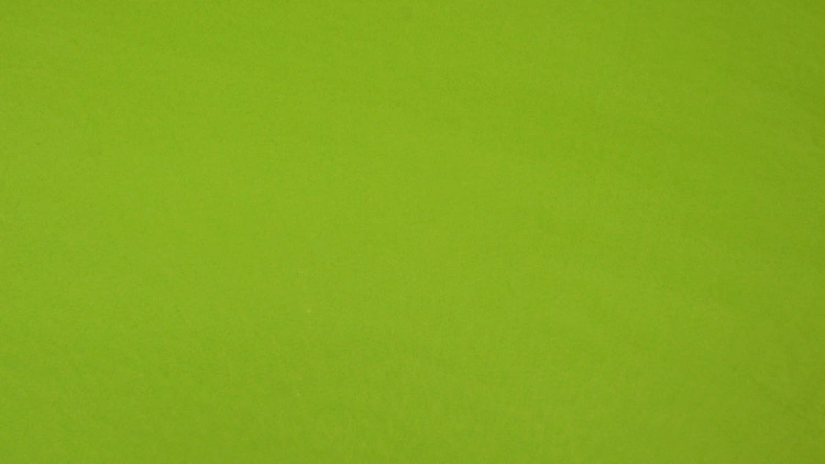 Pacific Coast Solid Tissue Paper — additional view h