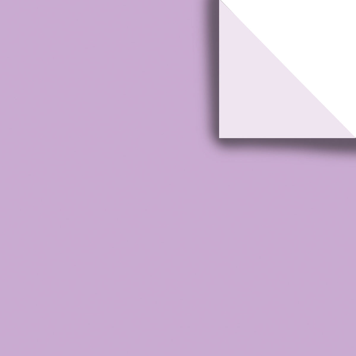 Pacific Coast Solid Tissue Paper — primary image