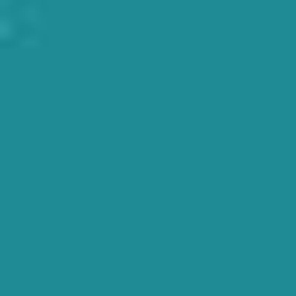 Teal Blue PMS 321