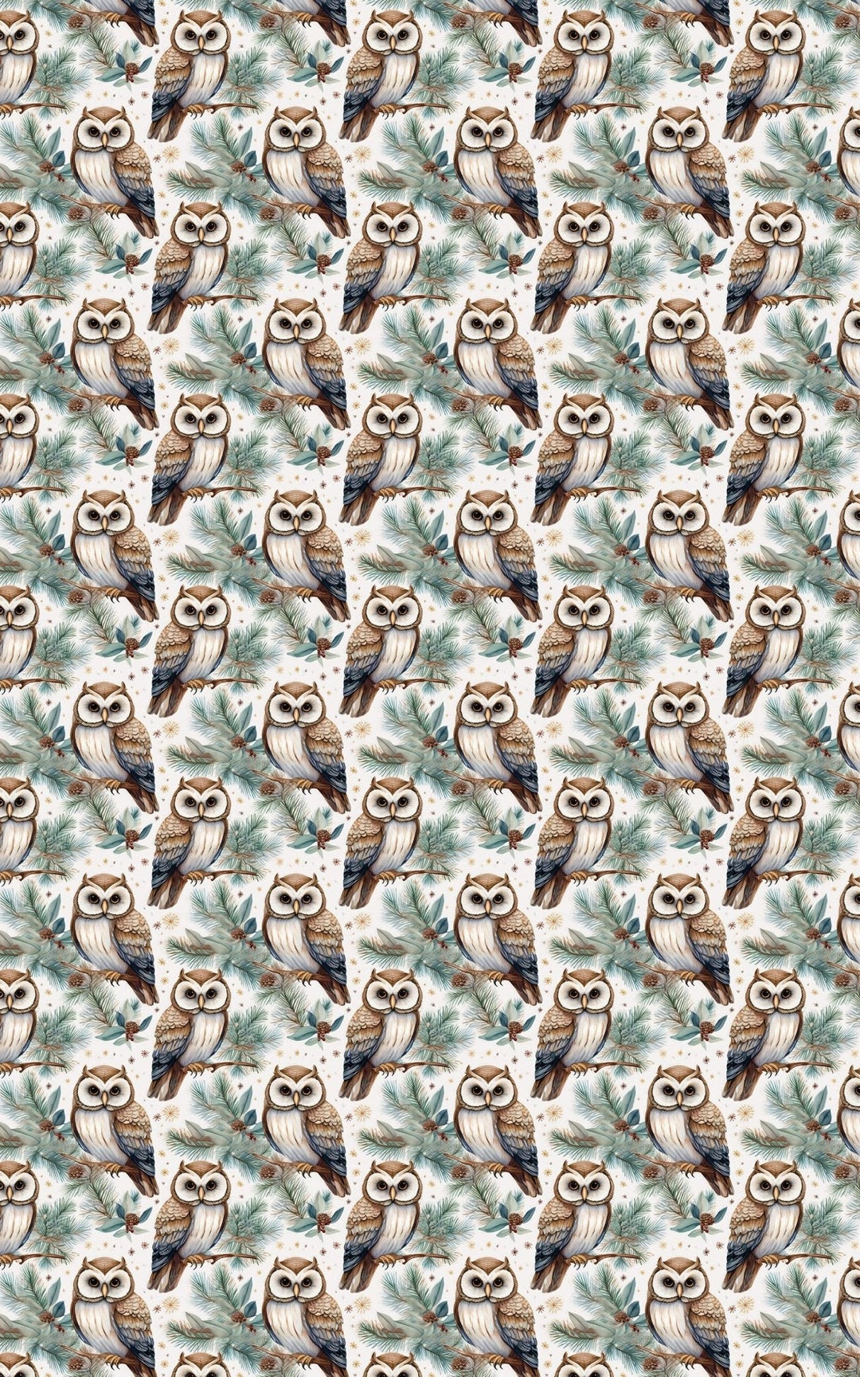 Winter Hoots