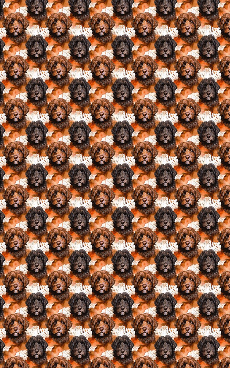 The Doodle Line