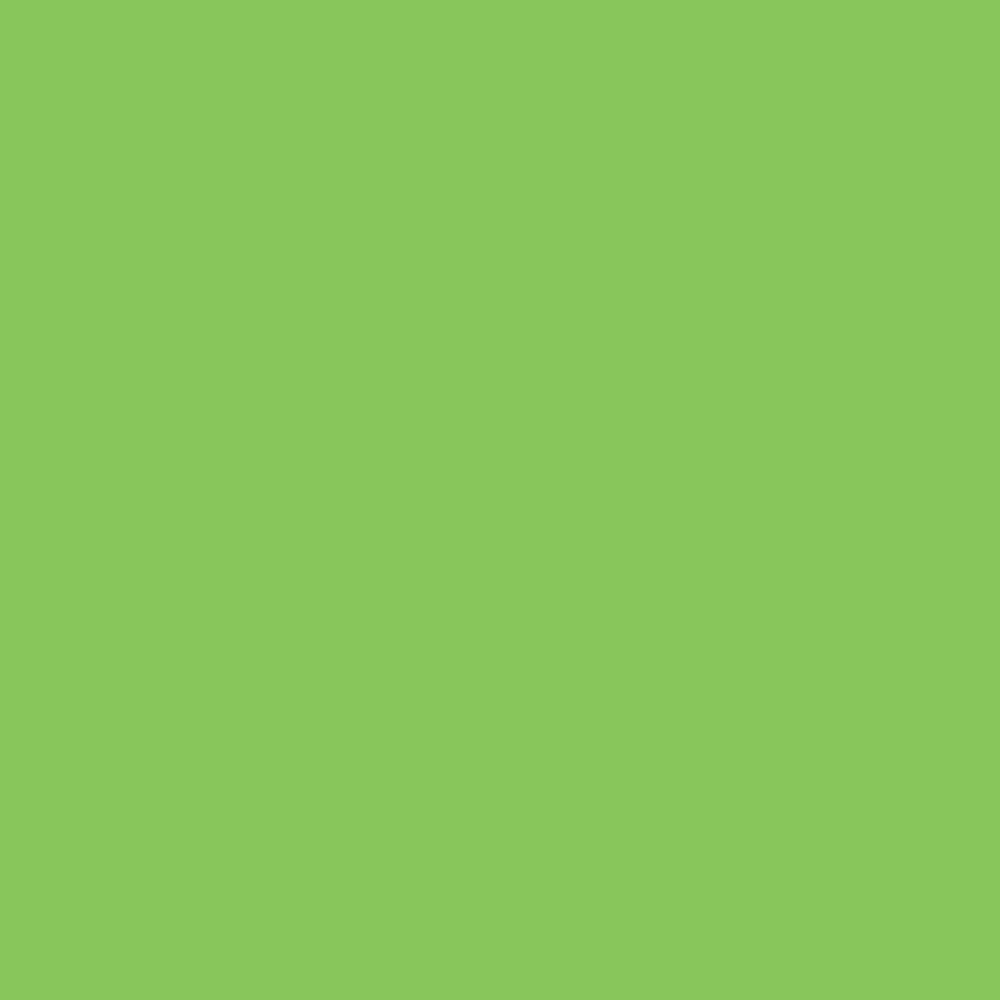 Vibrant Green PMS 802 Screen Print