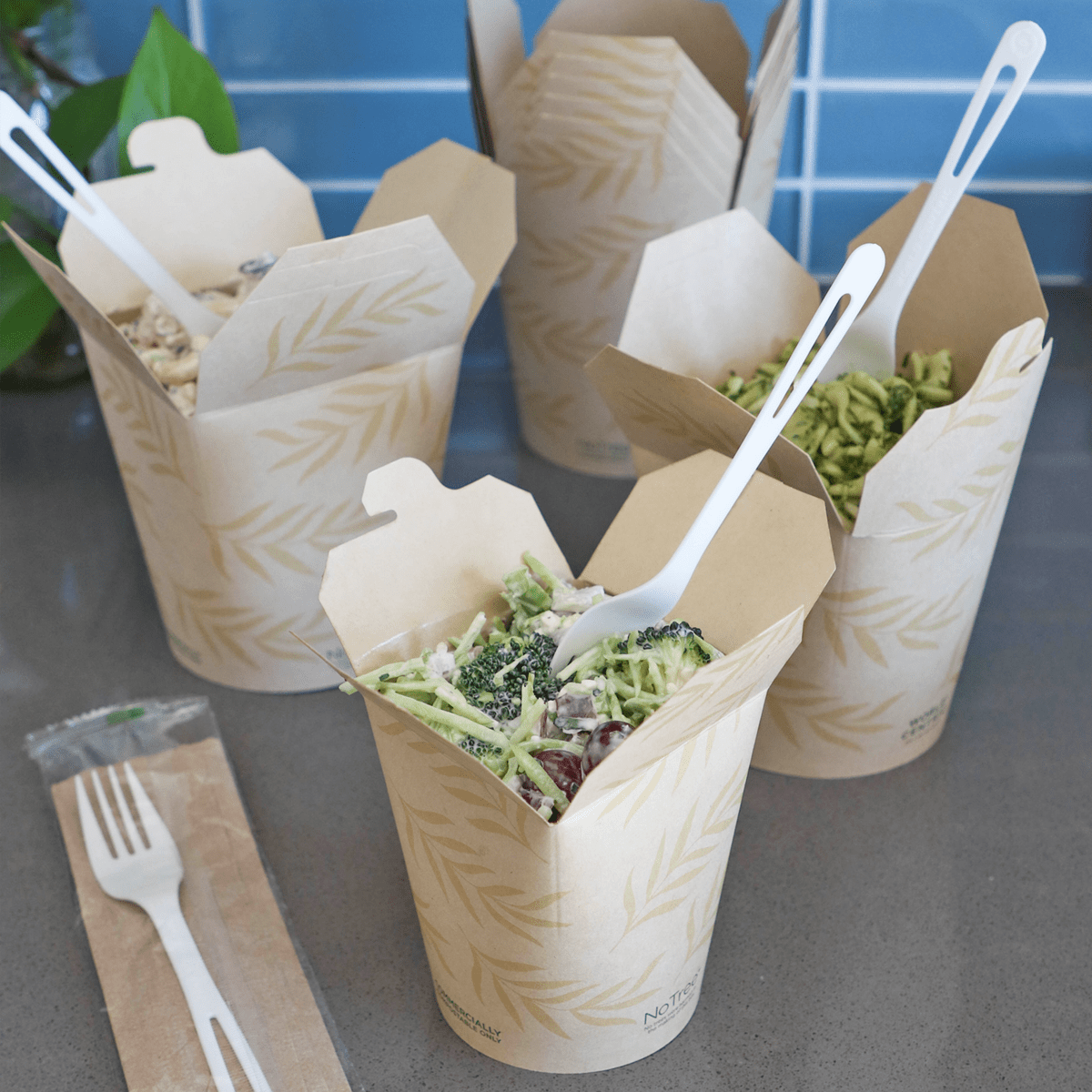 World Centric NoTree 32 oz Tall Take Out Container Compostable Bamboo Paper Food Container (QTY 500), SKU TO-NT-32T