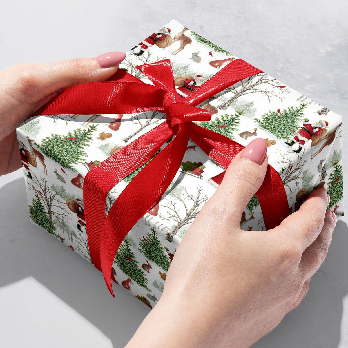 Woodland Wonder - Gift Wrap — additional view b
