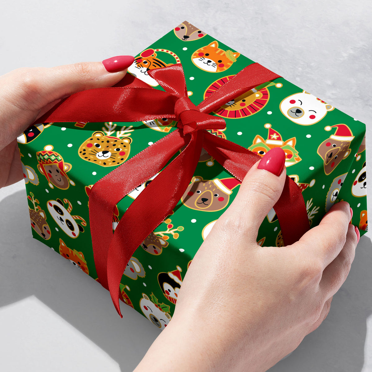 Festive Faces Gift Wrap - XB823.1b.jpg