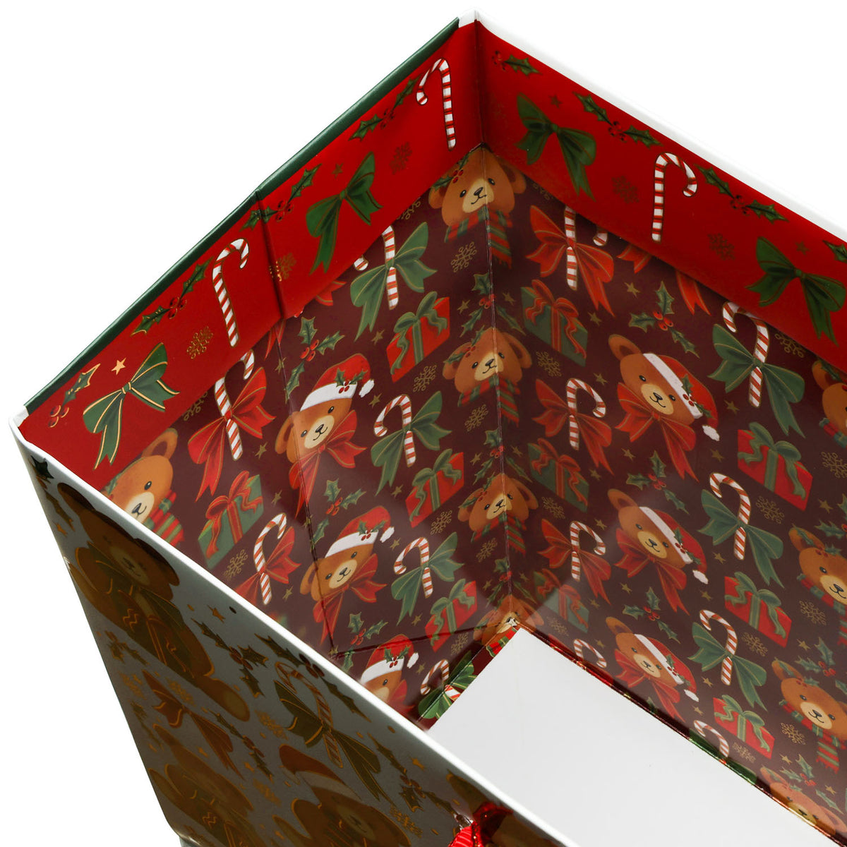Teddy Bears Gift Bag - XGBL860.1d.jpg