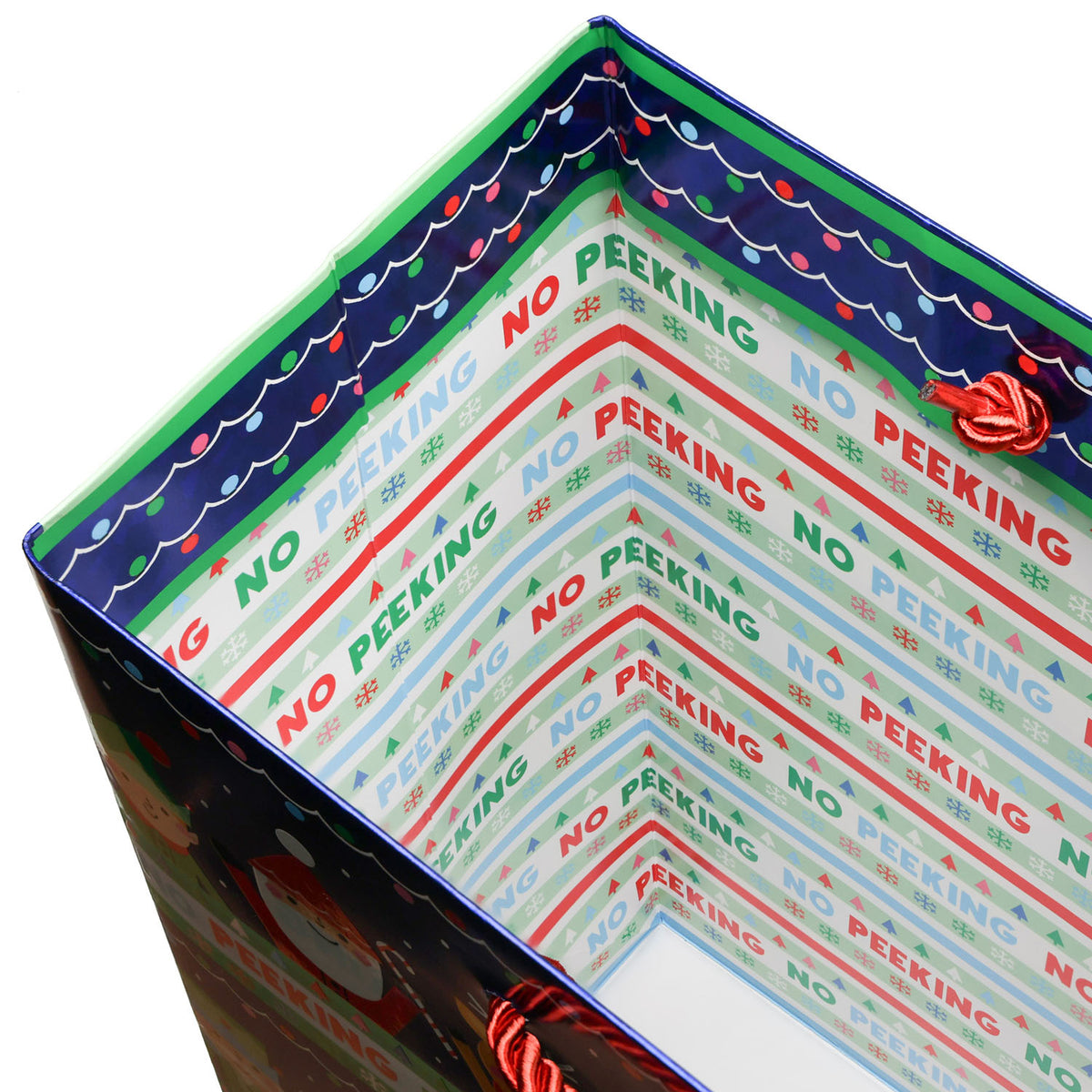 No Peeking Gift Bag - XGBL875.1d.jpg