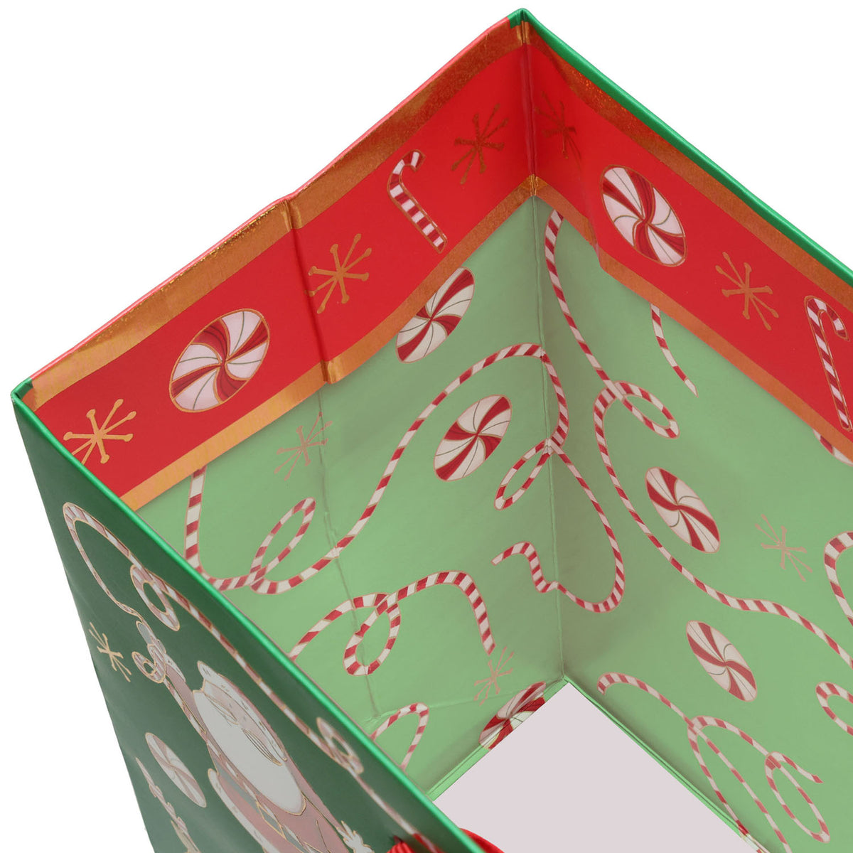Jolly Santa Green Gift Bag - XGBM851.1d.jpg