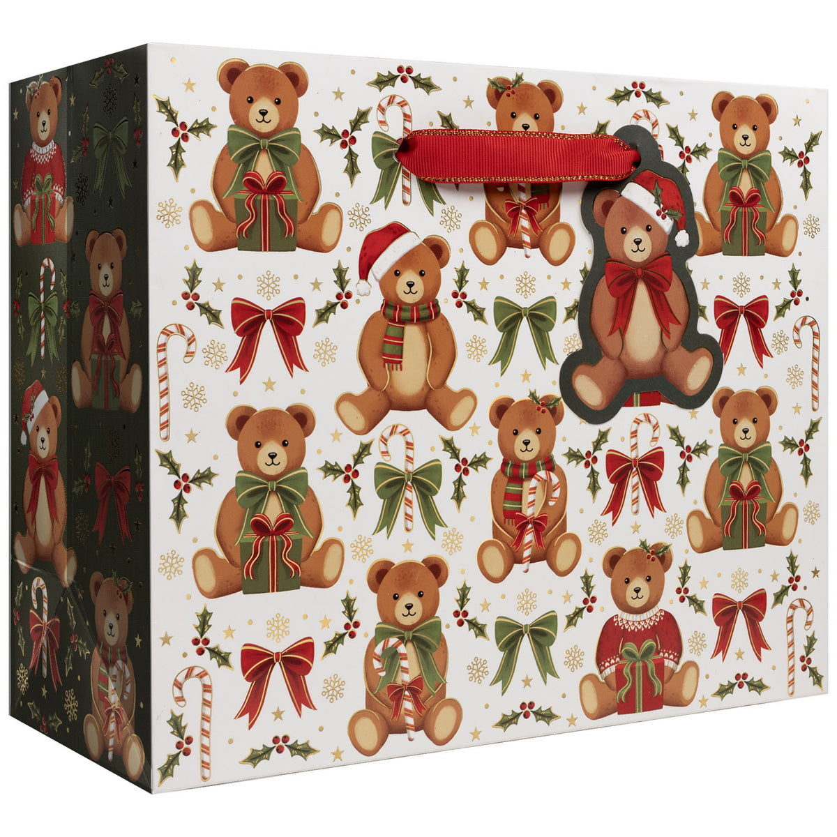 Teddy Bears Gift Bag - XGBM860.1a.jpg