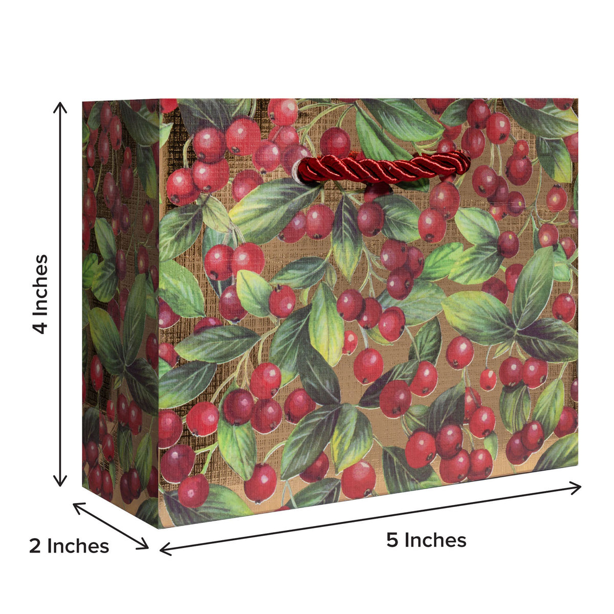 Merry Berry Gift Bag - XGBT841.1b.jpg
