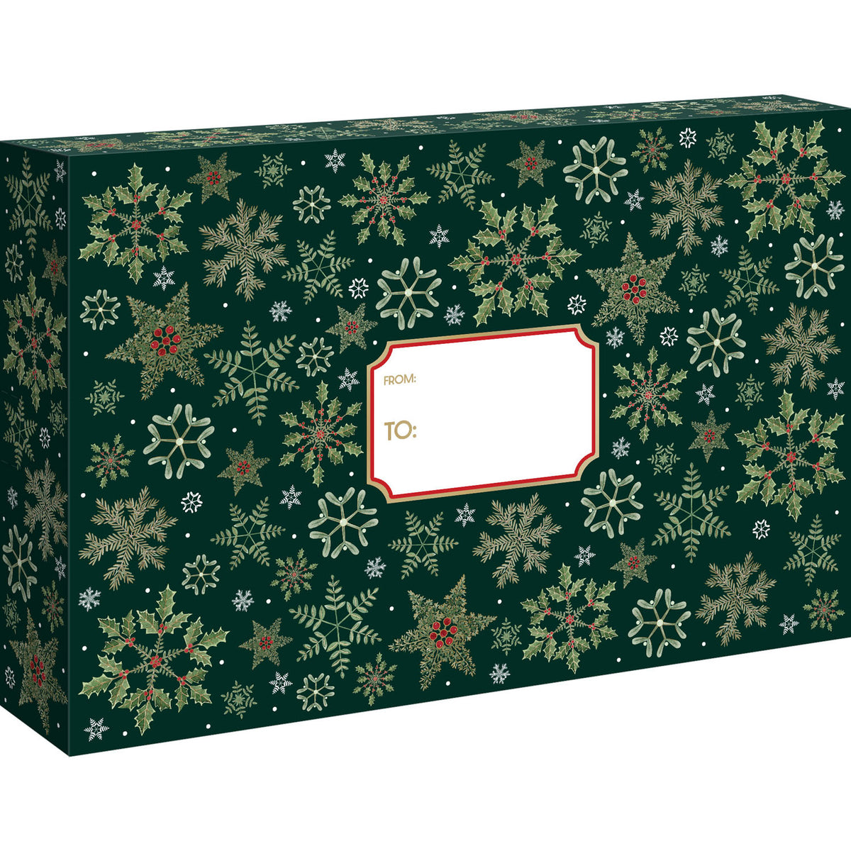 Forest Snowflakes Theme Mailing Box - XLB846.1a.jpg