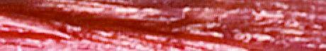 Terracotta - Pearlized Wraphia - 100 Yards