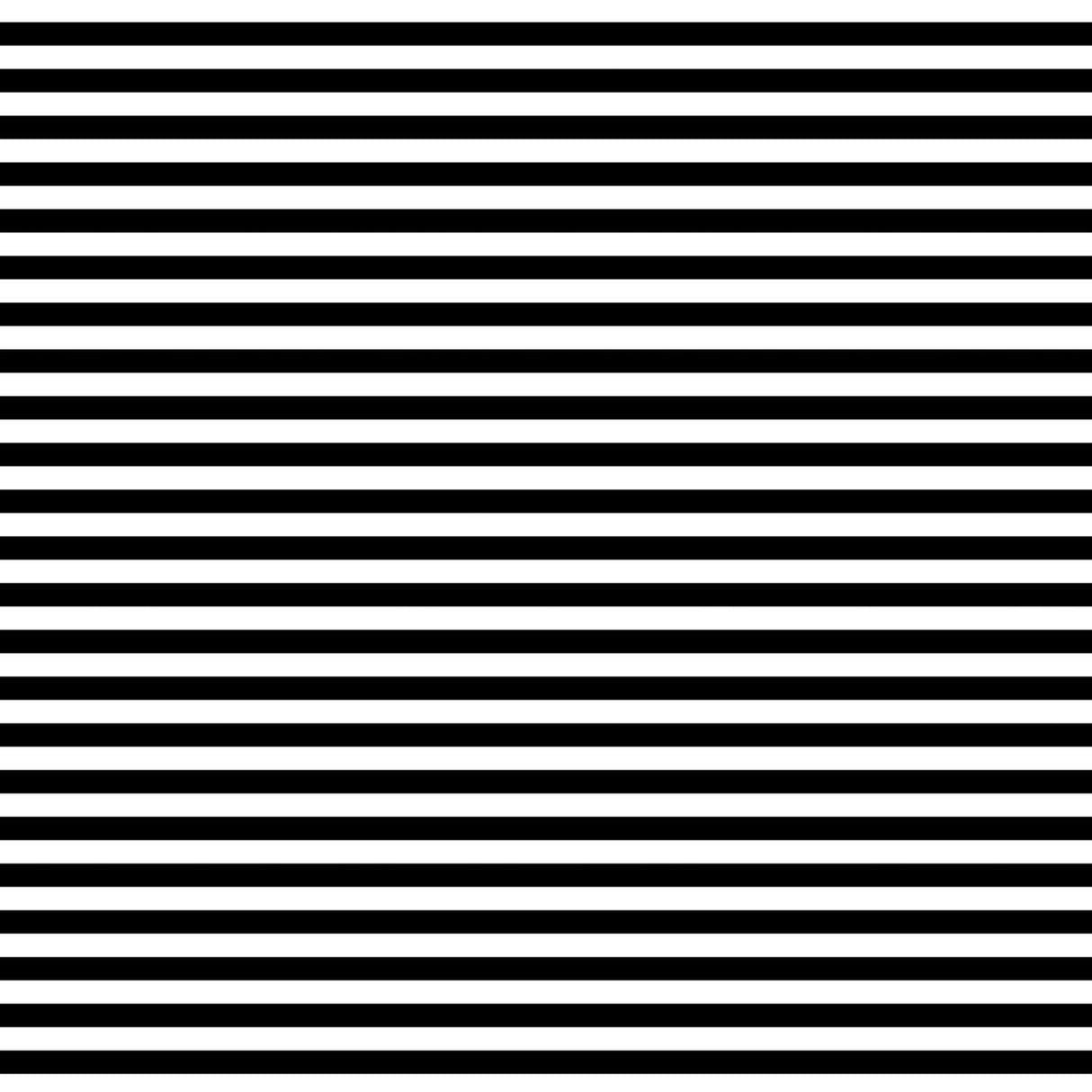 Black White Stripe - Gift Wrap - Roll (30" x 5 ft.)