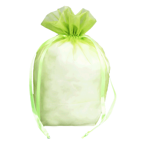 Mint - Cardboard Bottom Organza Bag - 8 x 10"