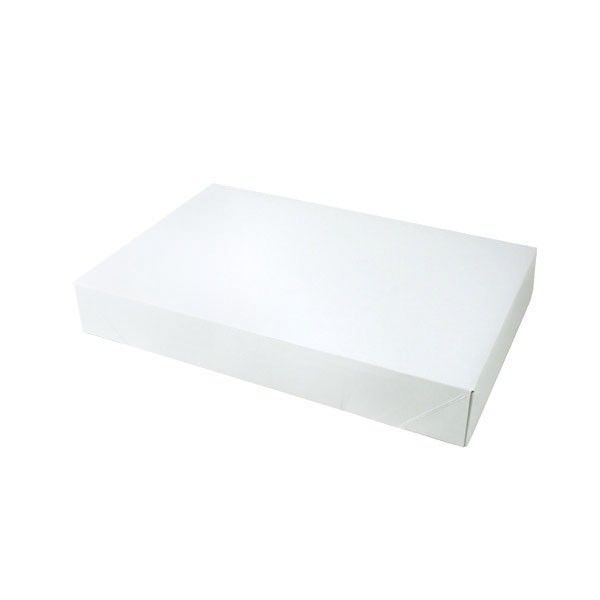 Gloss White Frost - Apparel Box - 17 x 11 x 2-1/2"