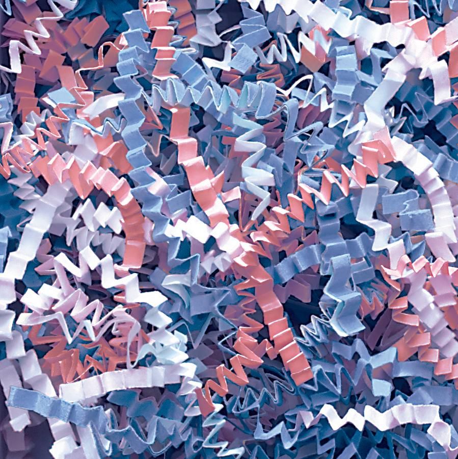 Baby Blend - Crinkle Cut Basket Shred - 10 lb Box