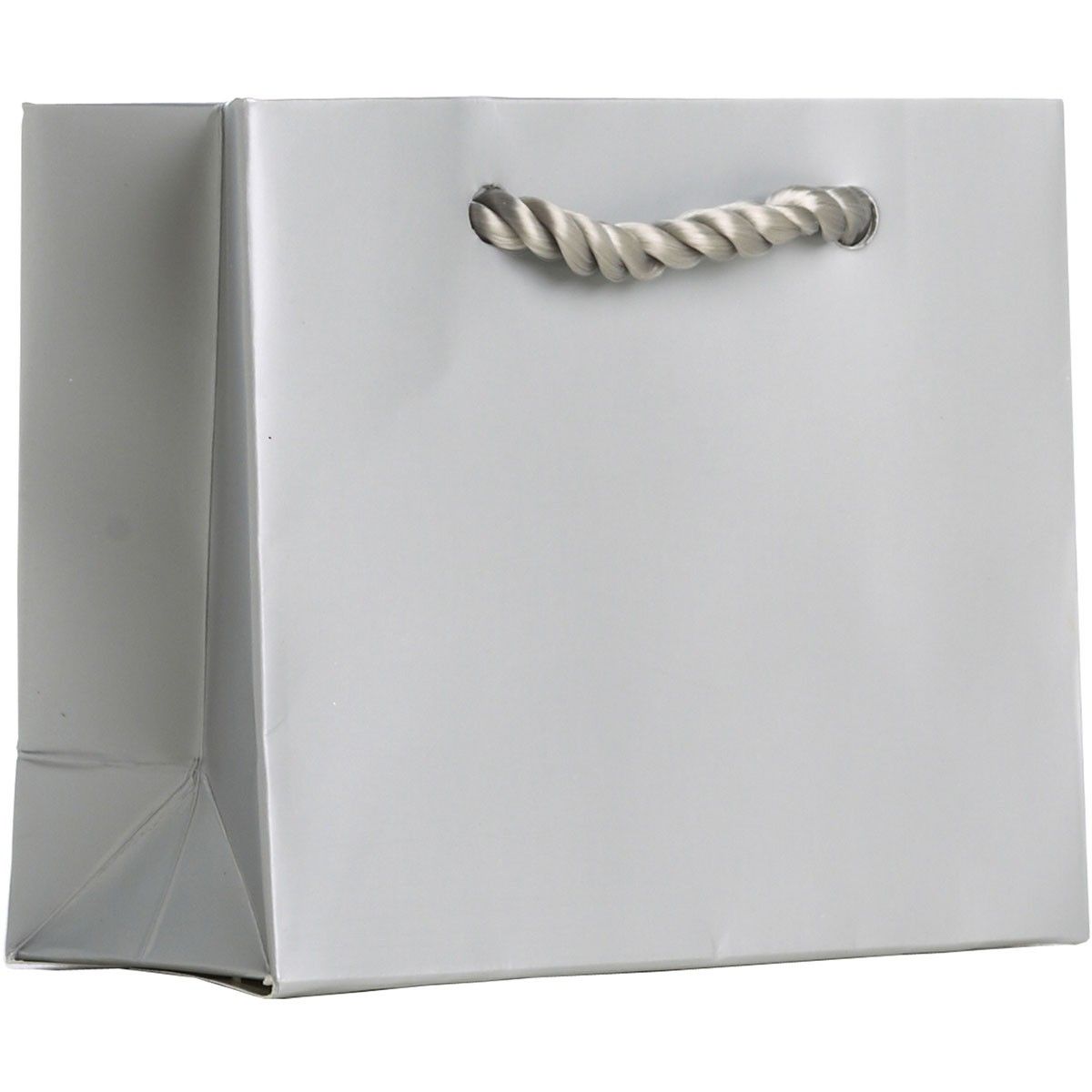 Matte Metallic Silver - Gift Bag w/Tag - 5 x 2 x 4"