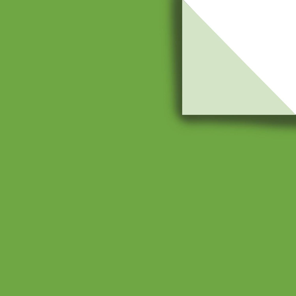 Lime - Gift Tissue - 20 x 30" Sheets