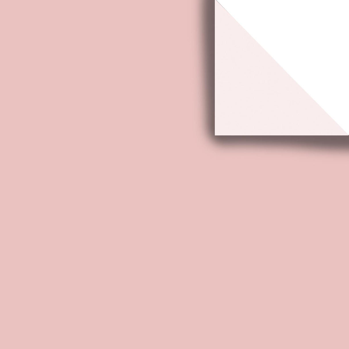 Rose - Gift Tissue - 20 x 30" Sheets