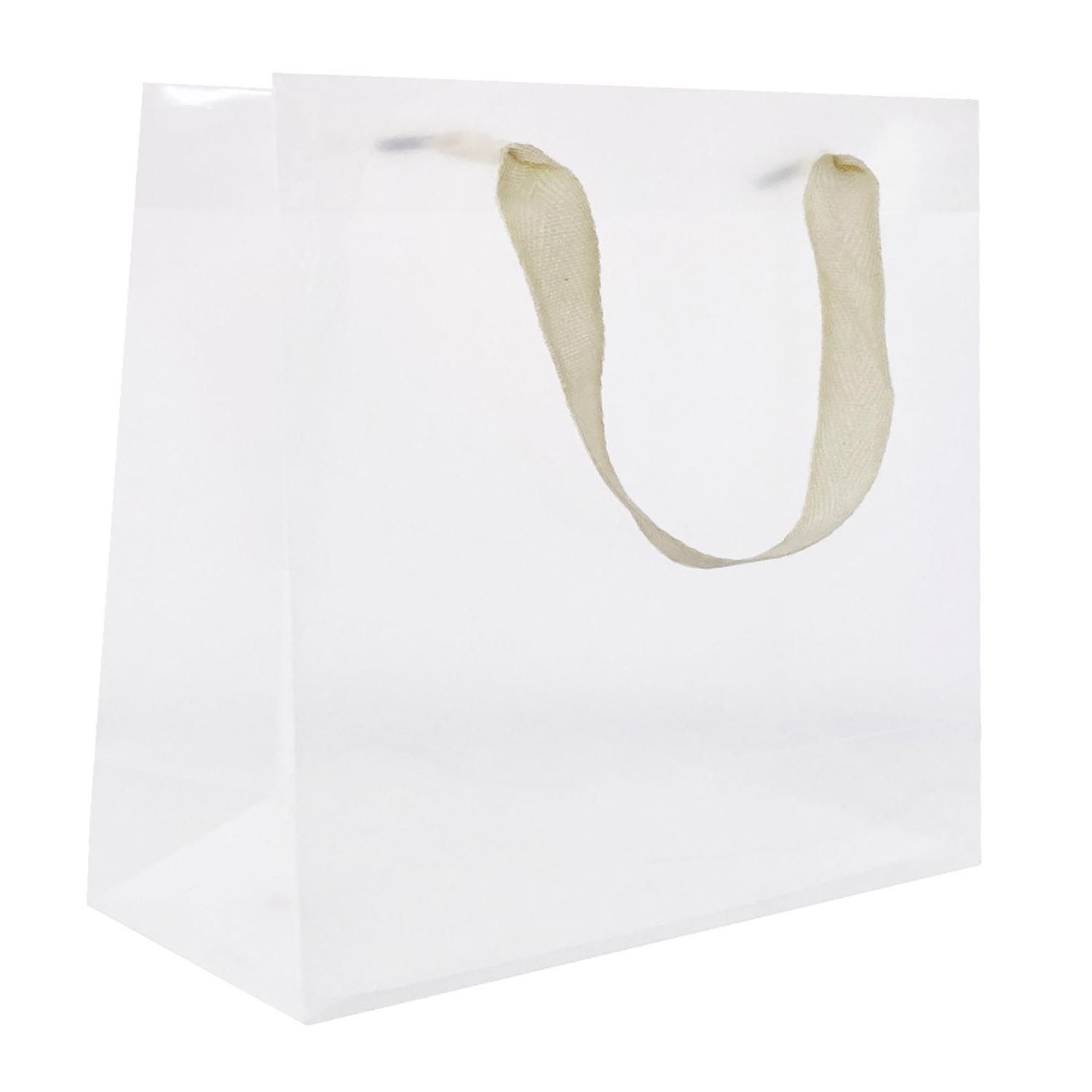 Frosted Clear - Gift Bag - 12-1/2 x 5 x 10"