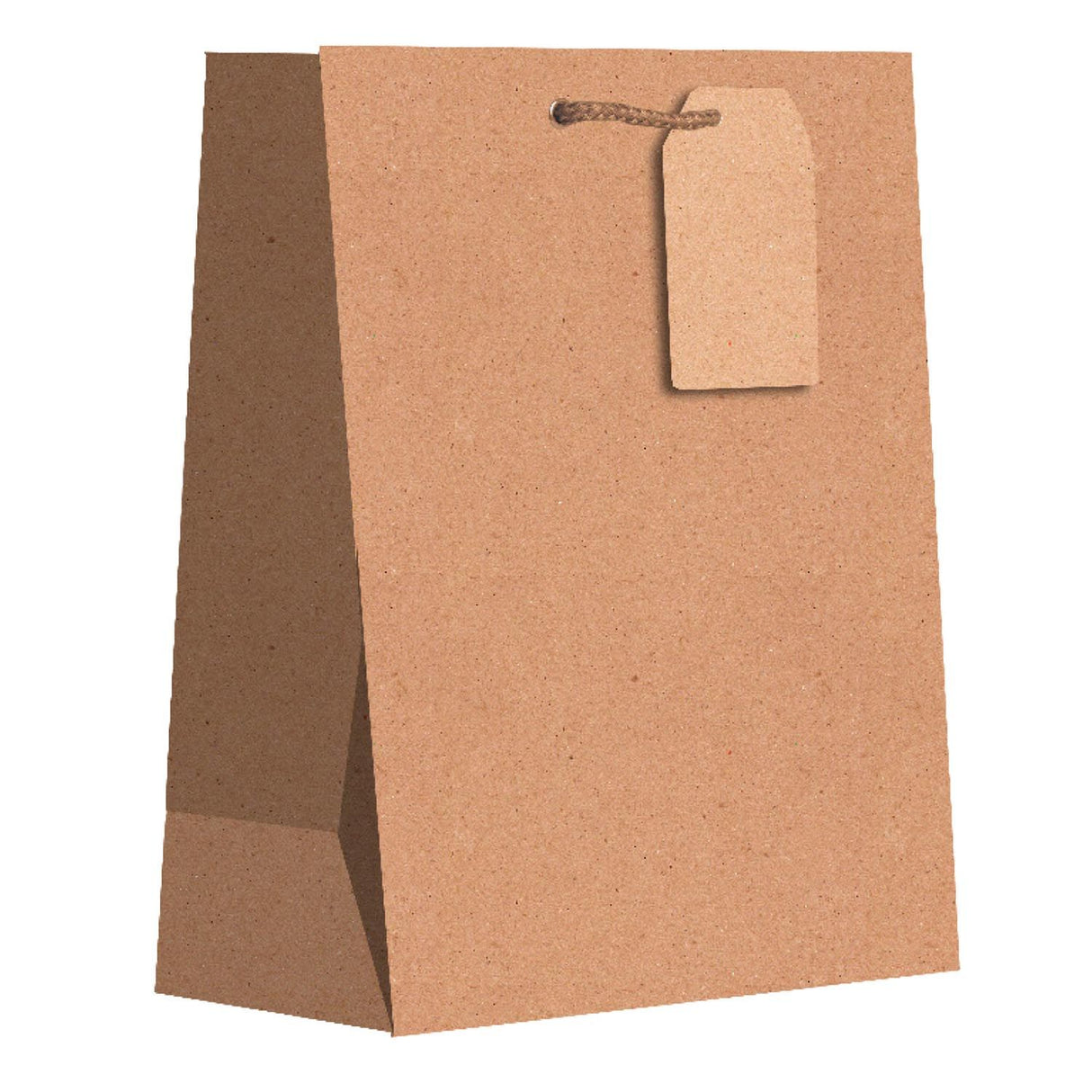 Kraft Natural - Gift Bag w/Tag - 8 x 4 x 10"