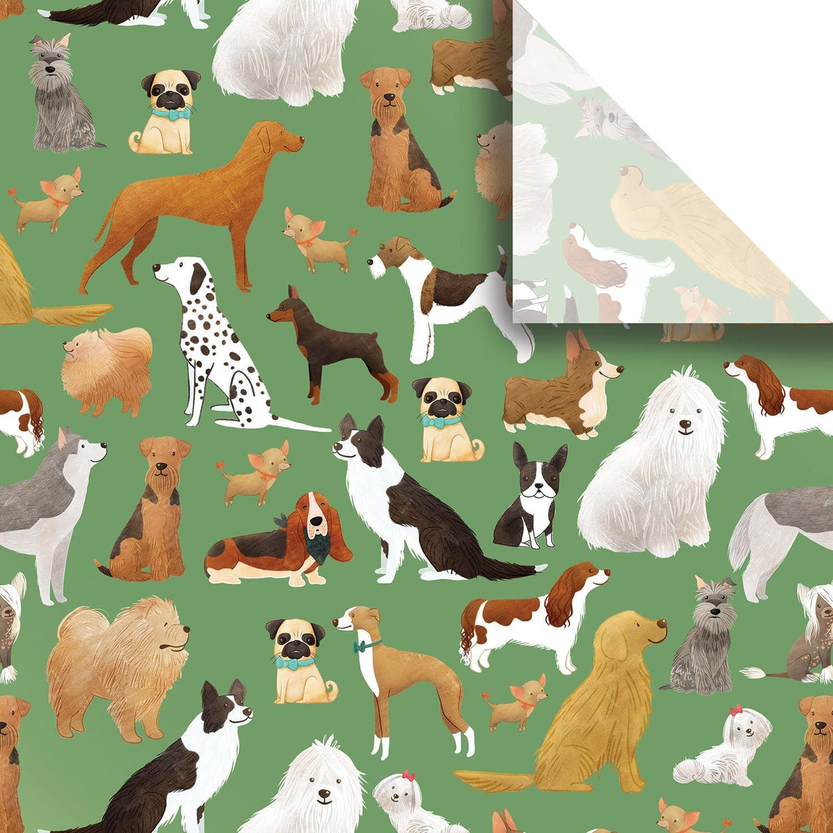 Best in Show Green - Gift Tissue - 20 x 30"