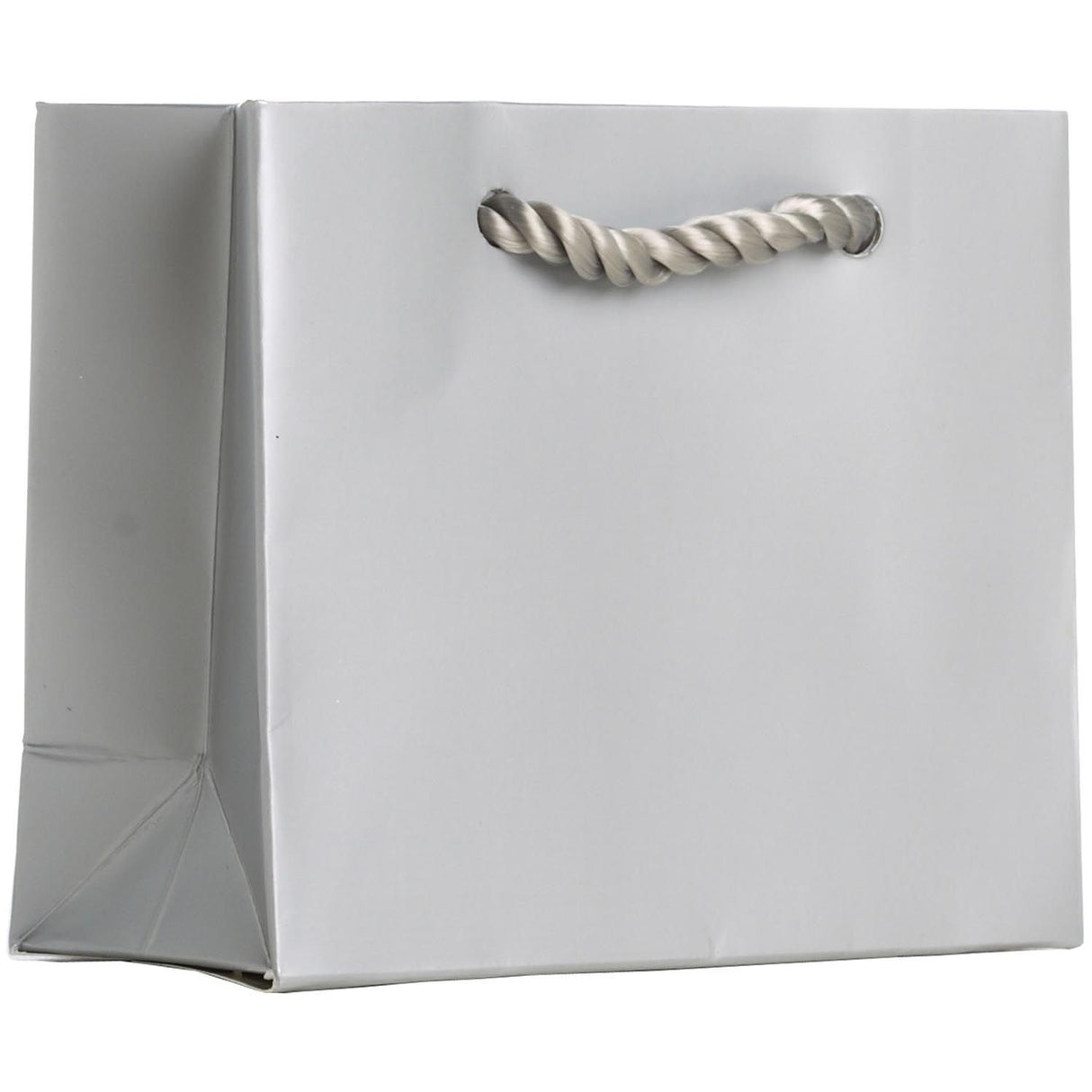 Matte Metallic Silver - Gift Bag w/Tag - 5 x 2 x 4"