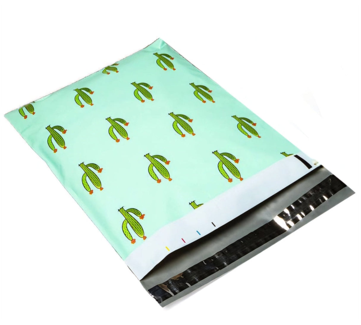 Cactus Mint Poly Mailers Size 6x9 Shipping Bags