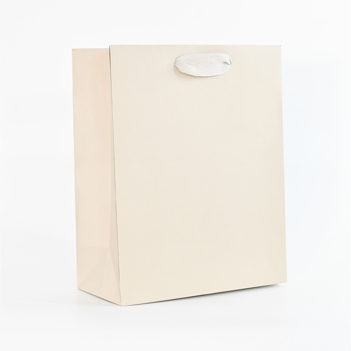 8 x 4 x 10" / Blank Bag / No Printing / Case/100