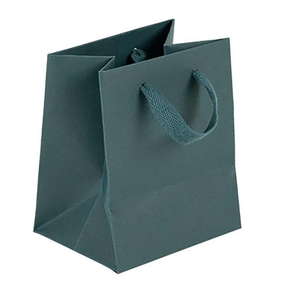 Soho Spruce Green - Twill Ribbon Handle Gift Bag - 5 x 4 x 6"