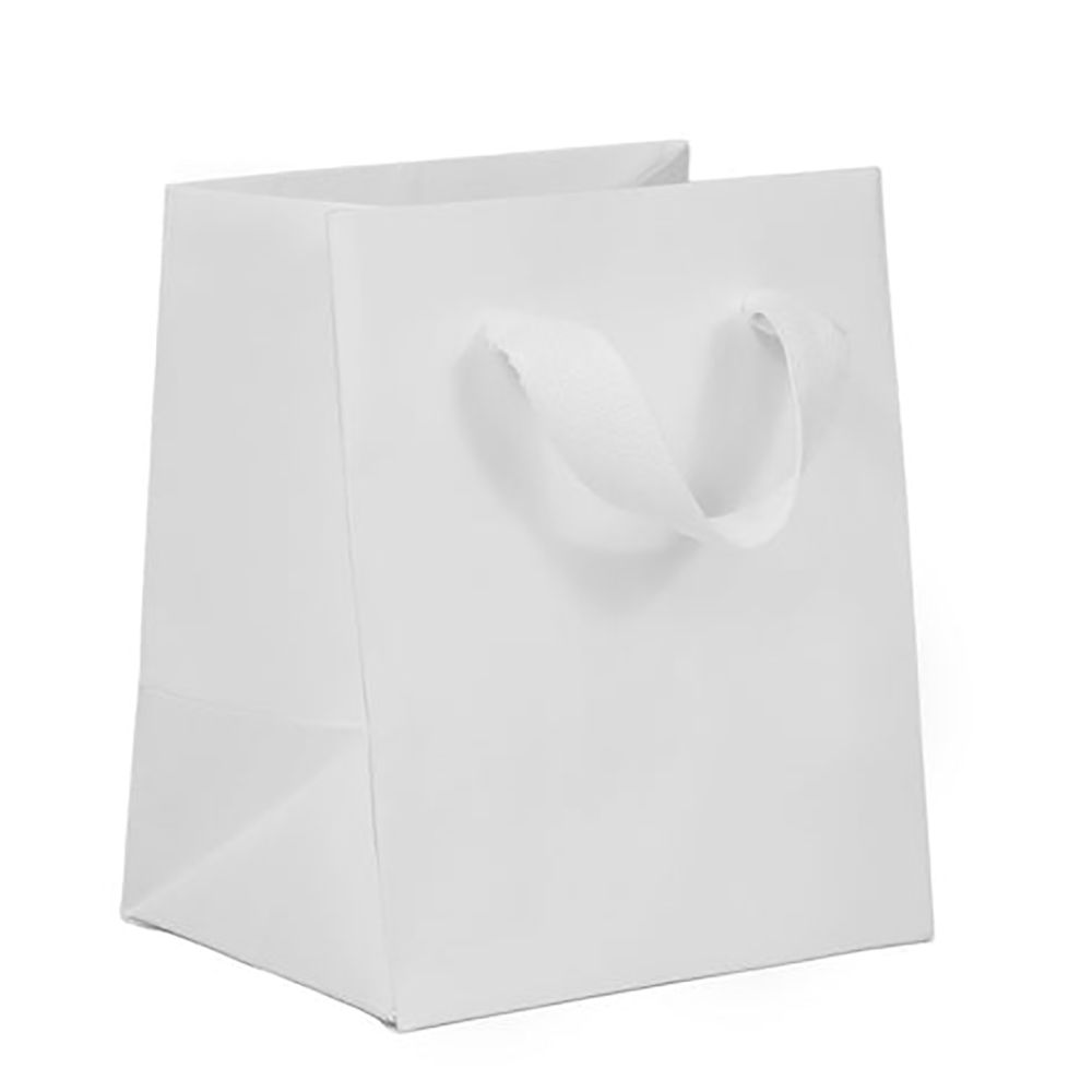 Wall Street White - Twill Ribbon Handle Gift Bag - 5 x 4 x 6"