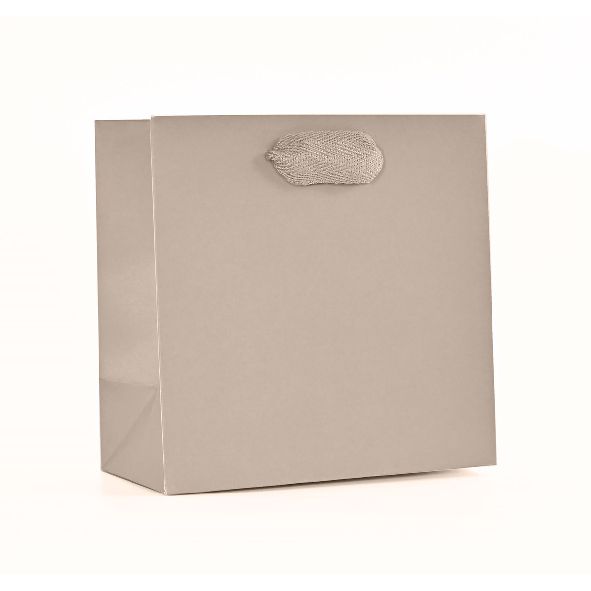 6.5 x 3.5 x 6.5" / Blank Bag / No Printing / Case/100