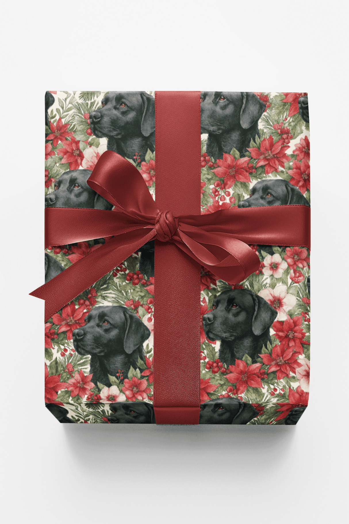 The Mistletoe Watcher