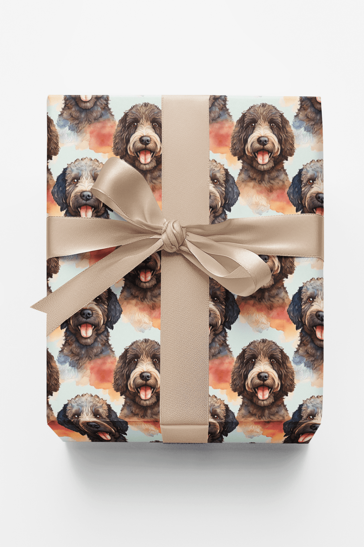 Snuggly Portuguese Water Dog