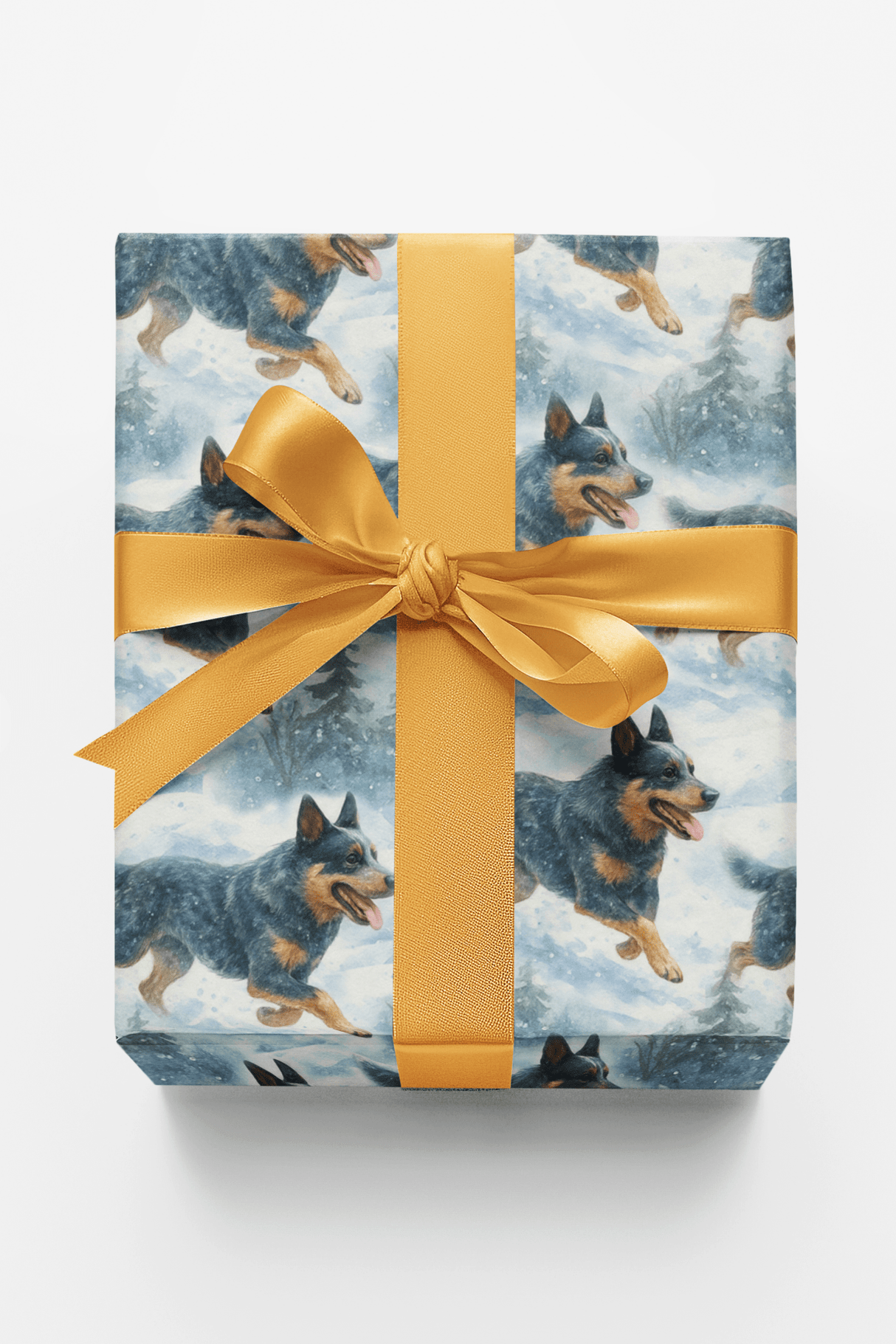 Holly Trails and Loyal Tails
