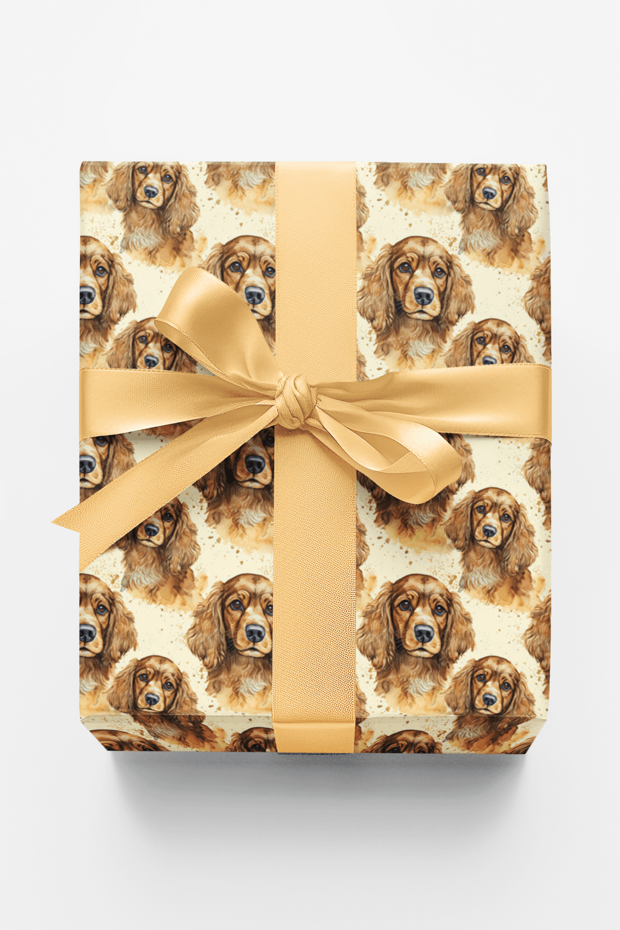 The Gentle Spaniel