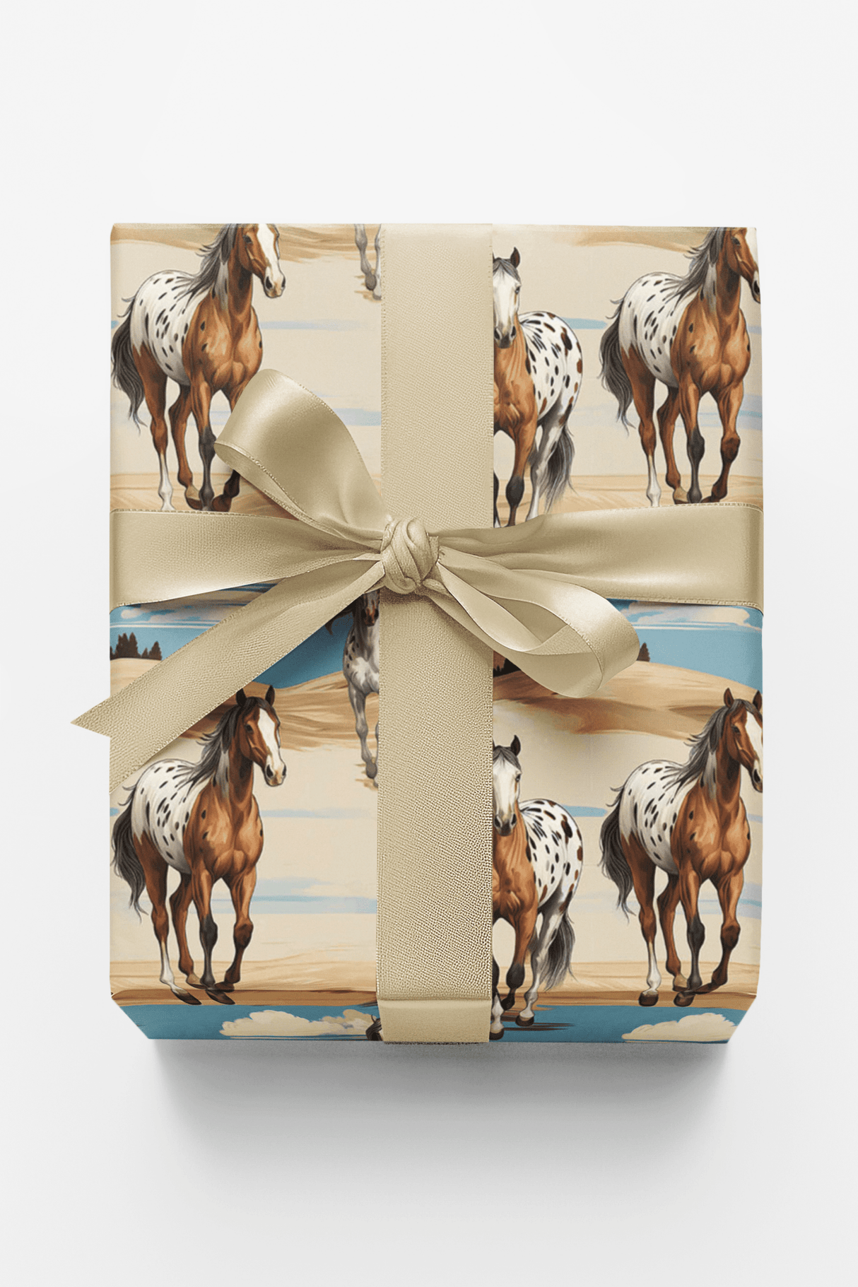 Appaloosa Run