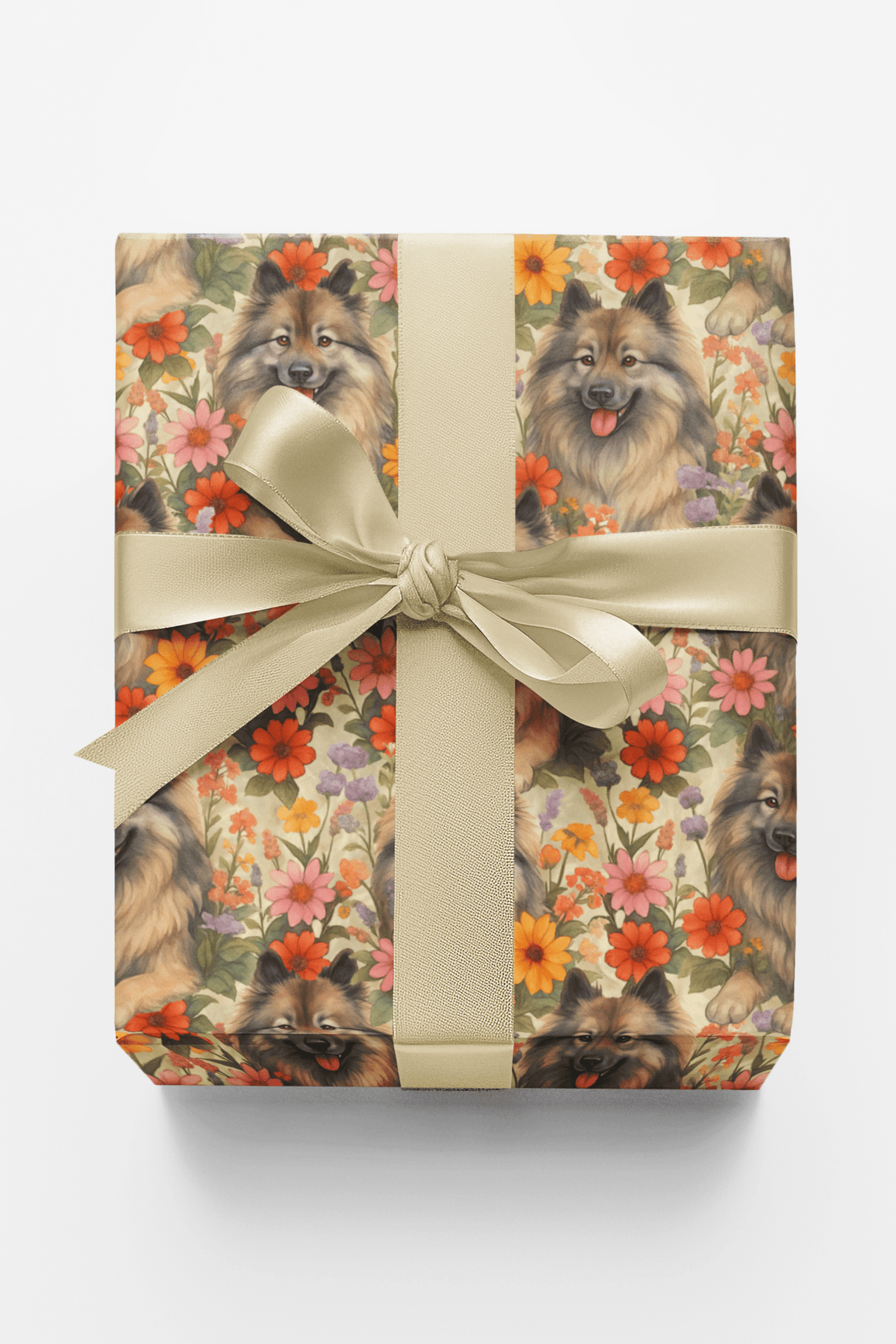Garden Keeshond