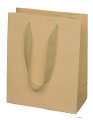 Natural Kraft / Kraft Handles - Twill Ribbon Handle Gift Bag - 10 x 5 x 13"