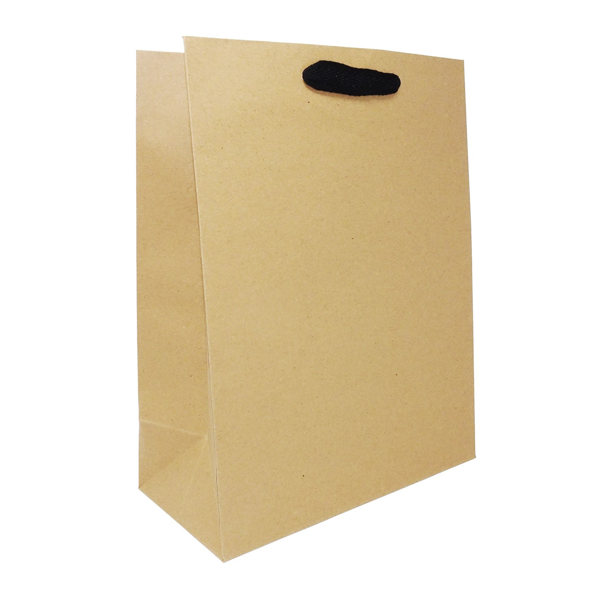 10 x 5 x 13" / Blank Bag / No Printing / Case/100
